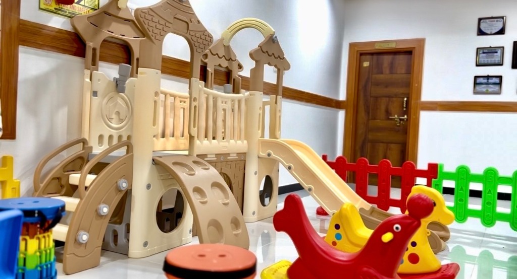 Play Castle and Slide Structure
